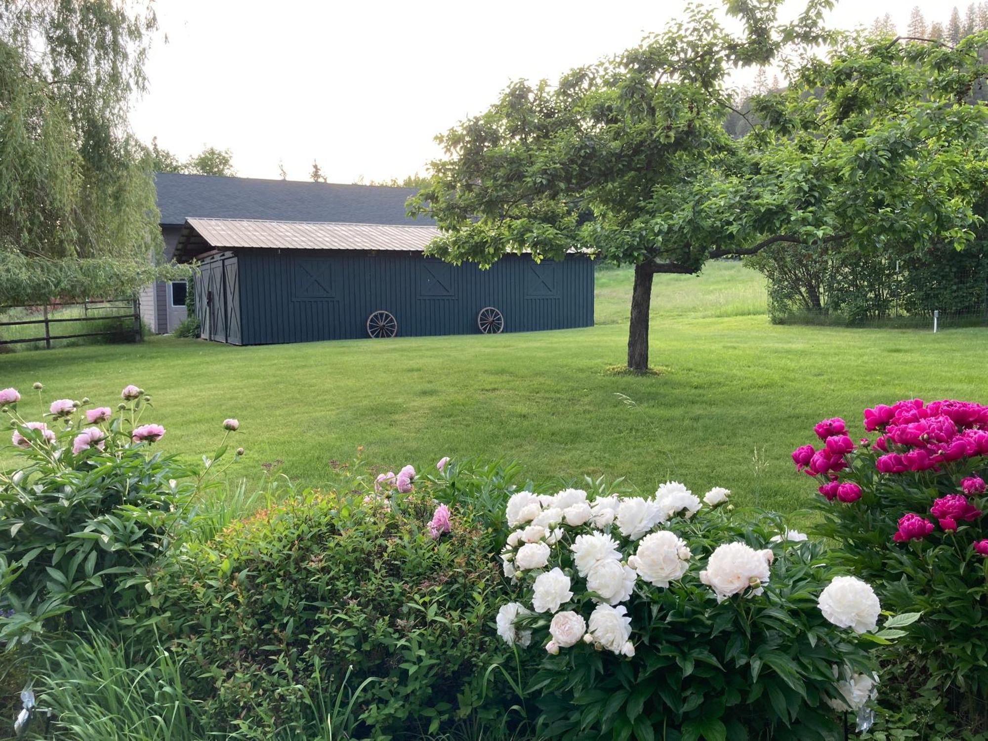 Pensjonat Hideaway Ranch Bonners Ferry Zewnętrze zdjęcie