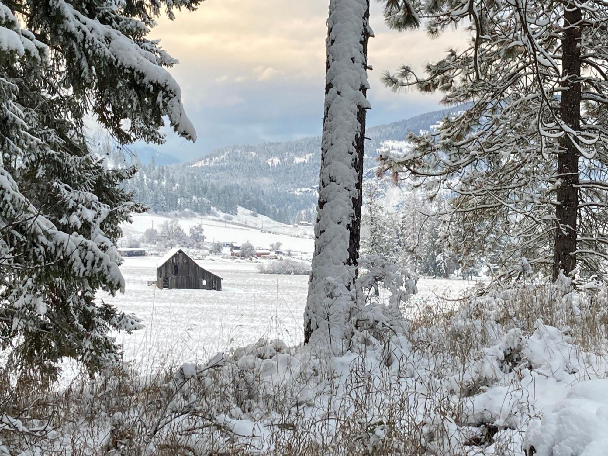 Pensjonat Hideaway Ranch Bonners Ferry Pokój zdjęcie